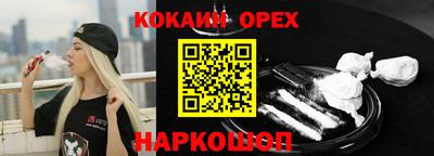 шишки Лесосибирск