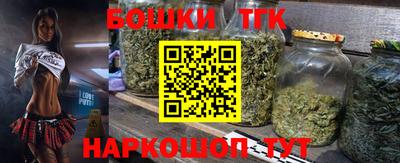 шишки Лесосибирск
