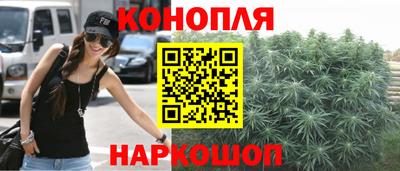 шишки Лесосибирск