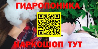 шишки Лесосибирск