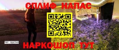 шишки Лесосибирск