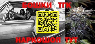 шишки Лесосибирск